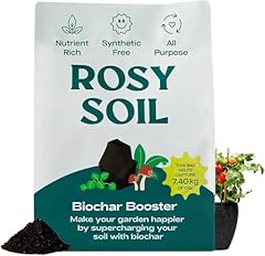 Biochar