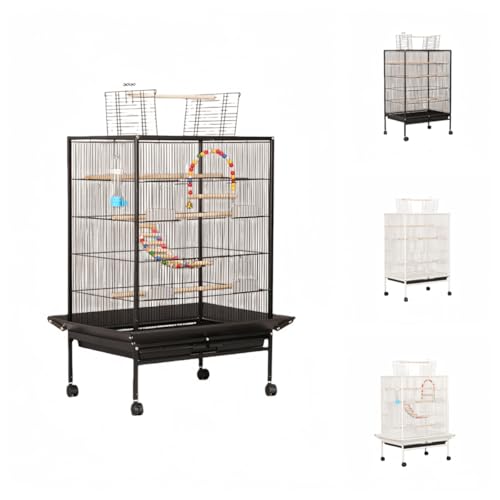 Sandqvipa ^ P[W CR IE  IJ ZLZCp LX^[t gȒP ؃o[hQ[W ^E^Ή (B03LiubNjiAbvO[hŁj)