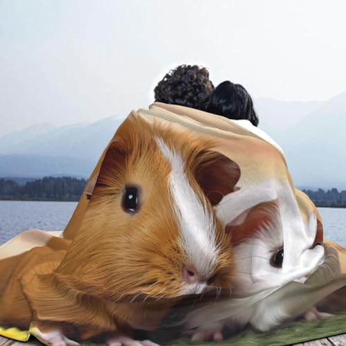 Couverture douce cochon d'Inde : cadeau parfait en microfibre