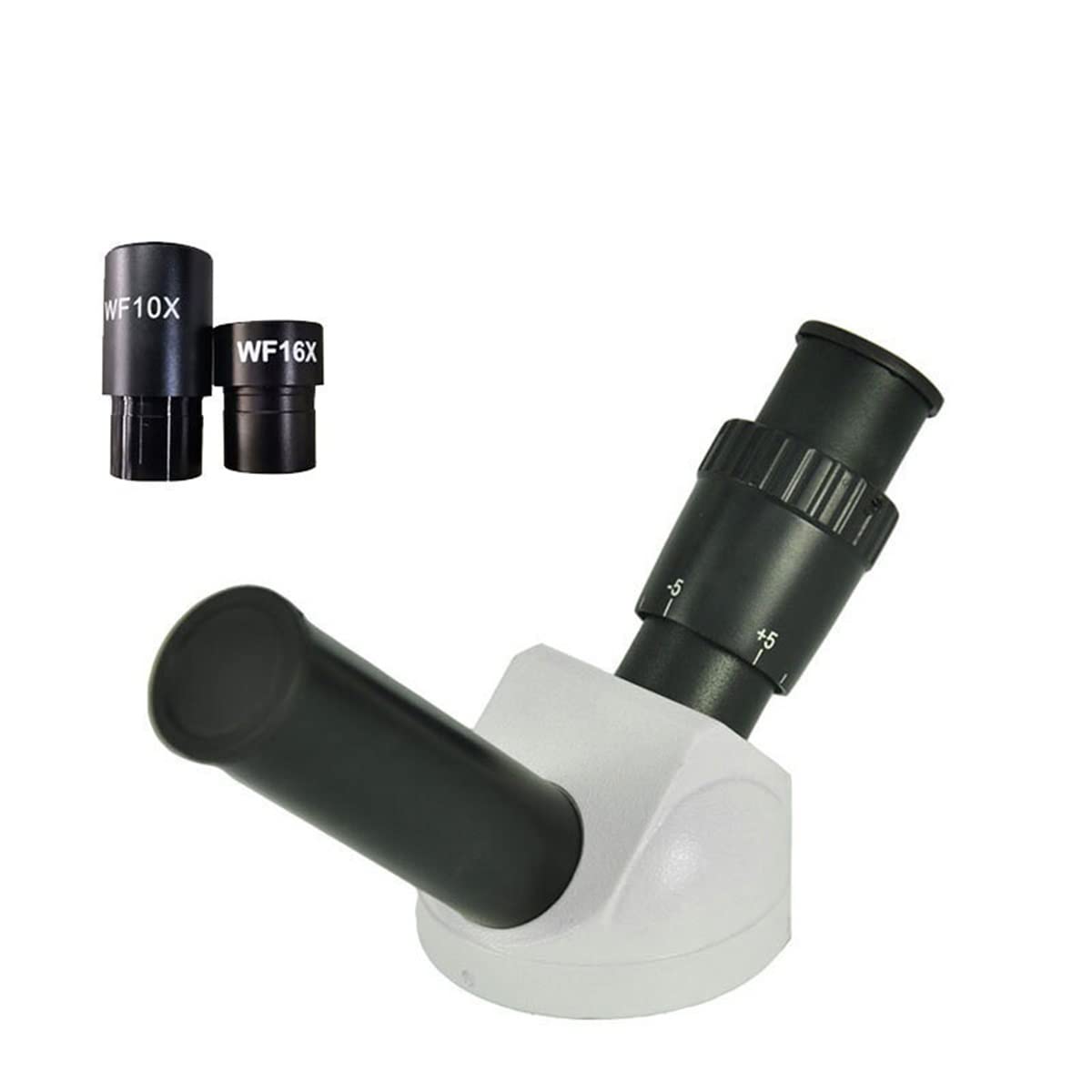 Kit accessori per microscopio Microscopio Tranocular Testa Monoculare Monoculare Testa binoculare for microscopio biologico con WF10X WF16X Oculare Vetrini per microscopio (Warna : Teaching B)