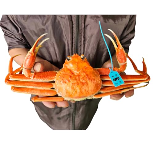 �y�h�ǂ���Ƃ�����t�v���[���g�I�z �ΐ쌧�Y ���\�K�j �{�Y���C�K�j �{�C�� 1�t ��500g(���J�j��550g) 2�t(500gx2�t)�Ŕ������܂��I �\�o ���� ���� ���Y ���\�I �Y�K�j �I�X �I�݂� ���Ε� ��Ε� ���� �M�t�g �����i �k�� ����