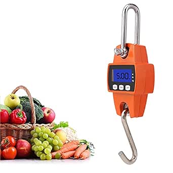 Bilancia Digitale Industriale &ndash; 660 Libbre / 300 Kg &ndash; Acciaio Inox E Plastica &ndash; LCD