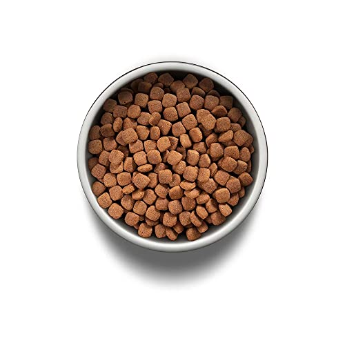 Ração Guabi Natural Cães Adultos Raças Médias e Grandes Frango e Arroz Bônus Bag – 13kg