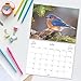 Current 2026 Bird Lovers Wall Calendar, 12-Inch x 9-Inch Size Closed, 18-Inch Size Open, Large Bookstore-Quality, Spiral-Bound Hanging Monthly Wall Calendars for Kitchen & Office