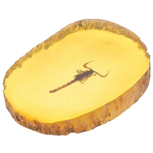 JECOMPRIS Scorpion Amber Specimen Pendant Amber Insect Handmade Ornament for Women Men