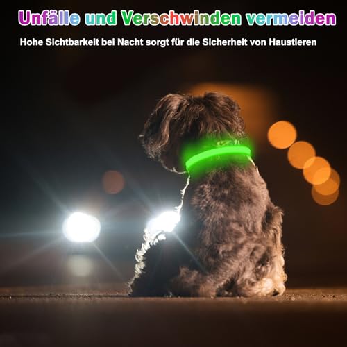Nepfaivy Leuchthalsband Hund USB Aufladbar - Hundehalsband Leuchtend mit Verstellbarer Länge für Mittelgroße bis Große Hunde, LED Halsband Hund 6 Farbwechsel für Nacht Sicherheit(Mehrfarbig-M)