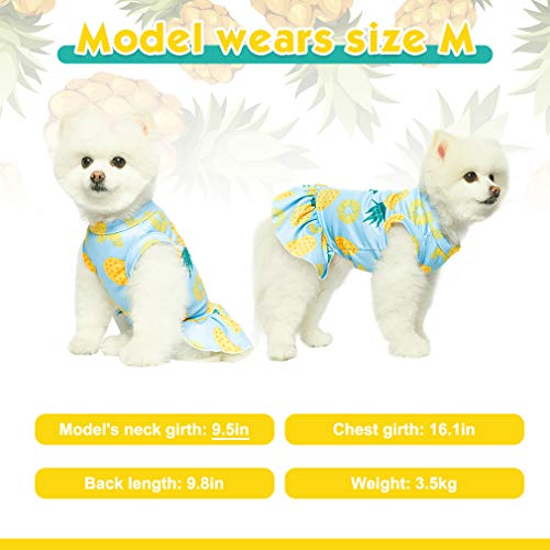 EXPAWLORER Dog Dress for Small Dogs - Soft Breathable Dog Spring Clothes, Cooling Dog Shirt Skirt for Summer, Sleeveless… - Image 6