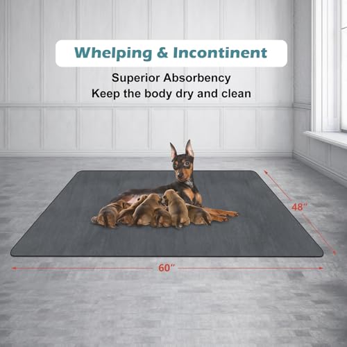Image of INVENHO Washable Pee Pads for Dogs 60 inchx48 inch Reusable Dog Pads Large Upgrade Non-Slip Dog Pee Pads Heavy Absorbency Puppy Pee Pads Quick Dry Whelping Pads /Waterproof Puppy Training Pad