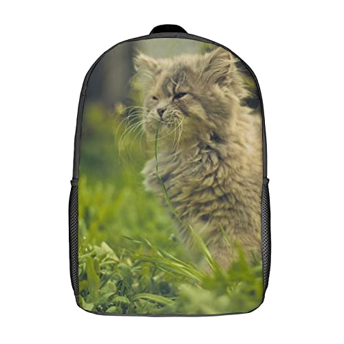 Mochila escolar unisex de gato con estampado 3D de 17 pulgadas para estudiantes