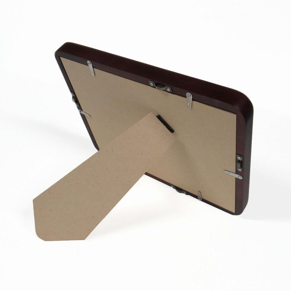 Amazon.co.jp: 安川眞慈 七福来朗 開運隅丸額 複製画 動物画