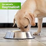 Schecker Nassfutter - Strauß Pur - getreidefreies Hundefutter - Dosenfutter - Strauss - 6 x 410 g