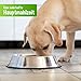 Schecker Nassfutter - Strauß Pur - getreidefreies Hundefutter - Dosenfutter - Strauss - 6 x 410 g