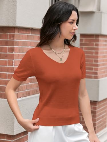 Image of DAIMIDY Women's Short Sleeve Sweater V Neck Summer Knit Tops | Business Casual Tops| Soft,Lightweight,Breathable and Comfortable| Perfect for Shopping,Date,Vacation,Daily Wear Etc.
