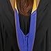 Endea Graduation Bachelor Hood for Business, Accounting, Commerce, Industrial, Labor Relations, College Degrees (Drab/Royal Blue/Gold)