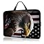 American Flag Eagles -736