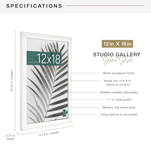 MCS Studio Gallery 12x18 Picture Frame White Woodgrain, Rectangle Photo Frame for Photos, Posters & Art Prints (1-Pack)