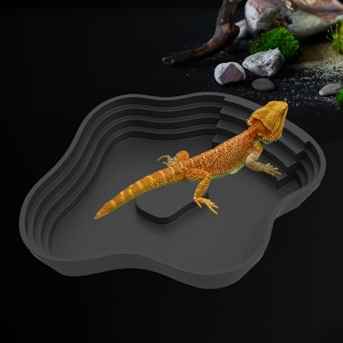 Tortue bain de mue pour gecko et petits lézards en taille S - 5
