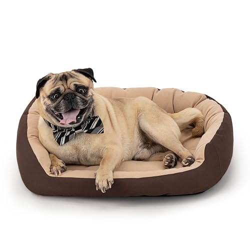 Colorante Para Ropa, Toy PETS APPAREL HILLS Cama para Perro, Resistente, Confortable, con Relleno Suave, Medidas y Color a Elegir (Small, Cafe/Beige)