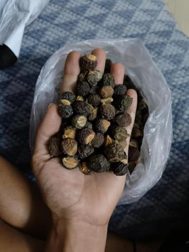 Image of 100% Natural soap nut 1kg Aritha /Reetha /Ritha /Soapnuts, poonthikottai (Sapindus Mukorossi) For Silky & Smooth Hairs