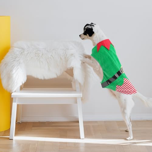 Disfraz navideño para perro talla XXL color verde miniatura 3