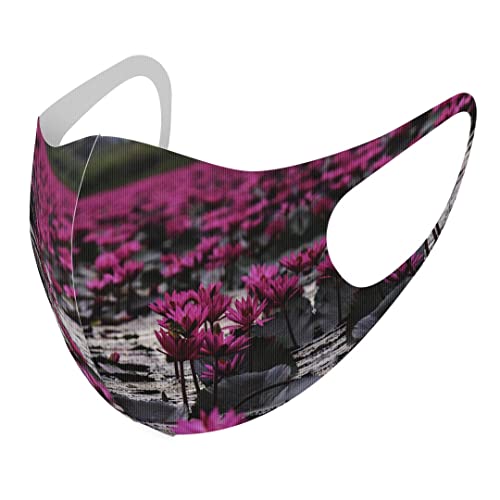 [igsticker] fUC }XN QZbg |GXe 􂦂 z}XN jp MTCY 023484  t[ ʐ^