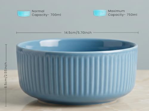 Image of Bodhi House Porcelain Large Serving Deep Bowl Set of 2 for Vegetable, Dal, Fruit, Cereal, Salad, Ramen, Mixing Bowl for Snack, Microwave Safe, Perfect for Dining and Gifting, True Blue | 750 ml