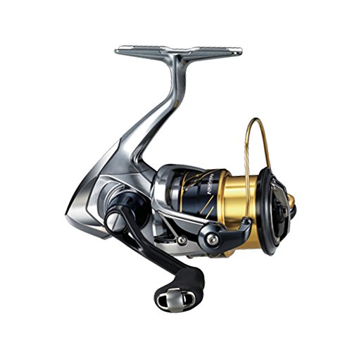 Moyeu Shimano Nexus SG-C7000-5C - 5 Vitesses 36h Coaster (neuf)