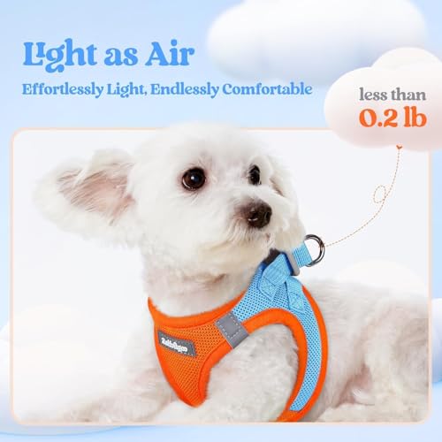 Image of rabbitgoo Dog Harness Medium Sized and Leash Set, Step-in Puppy Pet Vest