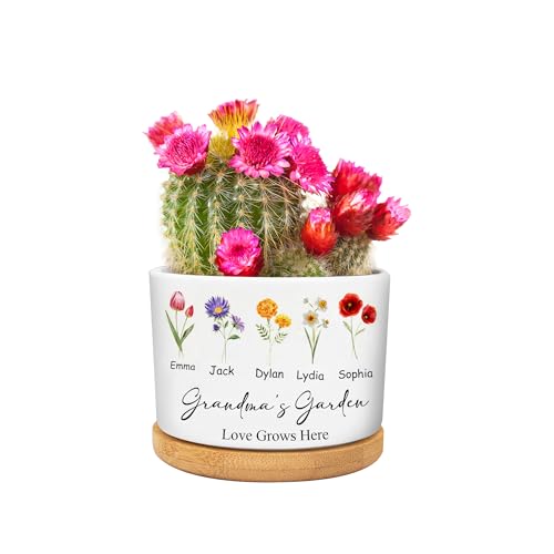 Maceta Personalizada con Flores de Nacimiento, macetas suculentas para el jardín de la Abuela, Maceta de cerámica para el jardín de la mamá con Flores del Mes de Nacimiento Regalos de la Abuela