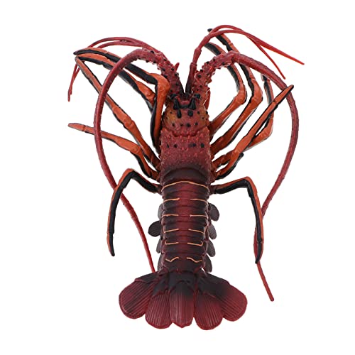 FOYTOKI Realistisches Hummer Modell Tierfigur Aquarium Deko Simuliertes Meerestier Langlebig für Geschenk und Wohnraumdekoration
