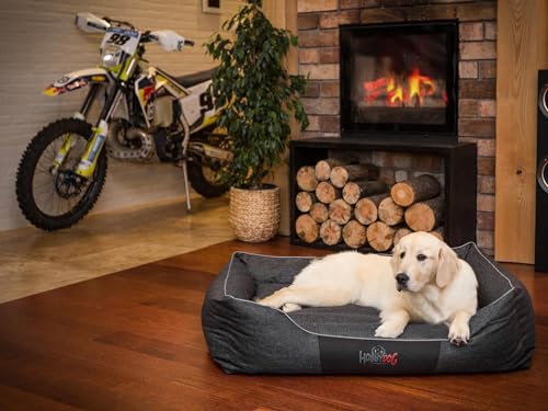 Bjird Hundebett - Hundekorb für kleine mittelgroße & große Hunde - Hundekissen - Hundesofa - Bezug abnehmbar und waschbar - Comfort - Größe: S - Schwarz