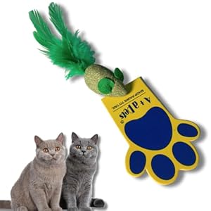 A+a Pets’ Natural Catnip Toy – Dental Hygiene and Playful Entertainment for Kittens and Cats | Chew Mint Toy (Mouse)