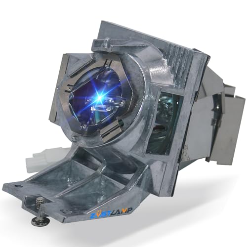 Image of ZMSTLAMP RLC-117 Original Quality for Viewsonic PG705HD PG705WU PX727-4K PX747-4K Projector Replacement Lamp Bulb