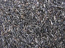 10KG SELECTED NIGERSEED for WILD BIRDS NYGER SEED