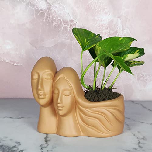 Image of Lasaki Couple Ginger Ceramic Pots for Indoor Plants, Planters, Flower, Pots, gamla, Outdoor, Balcony, Home, Garden, Office Decor, Succulent Pot(L - 16 X W - 10 X H - 14.5 cm)(Plants not Included)