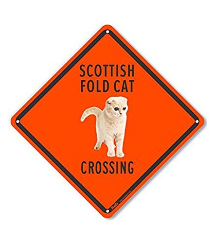 Plaque Scottish Fold Cat Crossing pour sécuriser l'entrée de votre jardin