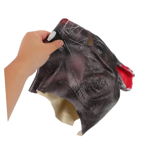 Photo complémentaire