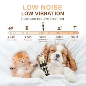 Dog-Clippers-for-Grooming-2-Pack-Pet-Hair-Trimmers-with-2-Speed-Grooming-Mode-Rechargeable-Cordless-Electric-Quiet-Suitable-for-Dogs-Cats-Gold - Cucciolini Doodles   Dog-Clippers-for-Grooming-2-Pack-Pet-Hair-Trimmers-with-2-Speed-Grooming-Mode-Rechargeable-Cordless-Electric-Quiet-Suitable-for-Dogs-Cats-Gold