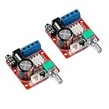 2 Stück PAM8610 Mini Leistungsverstärkermodul