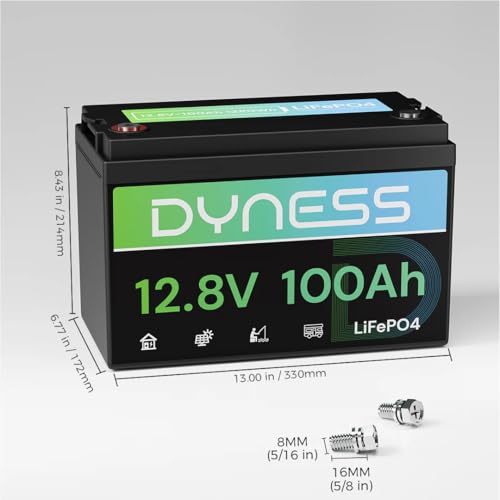 Image of Dyness 12V 100Ah LiFePO4 Lithium Battery BCI Group 31 with Low-Temp Protection, A+ Grade Cell Built-in 100A BMS, 12.8 Volt Lithium Battery Perfect for RV, Solar System, Off-Grid, Home Energy Storage