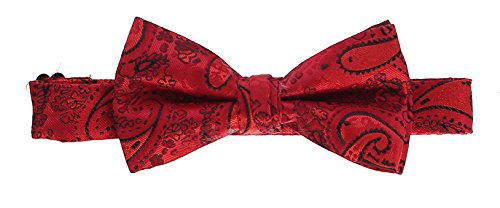 Gioberti Men's Formal 4Pc Paisley Vest Necktie Bowtie And Pocket Square, Red, Large #TOP5