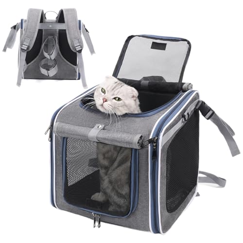 Transporte de perros para bicicleta - Bolsa de transporte portátil y plegable para perros - Cesta de transporte para mascotas en bicicleta | Para seguridad en desplazamientos, paseos, viajes, al aire