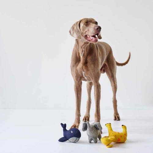 HUNTER Eiby Elephant Dog Toy, Grey, 19 cm, Polyester grey - Image 4
