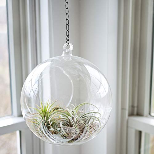 Chain Extension For Hanging Baskets, Planters, Powder Black, 36 Inches Long, Strong Hold #TOP4