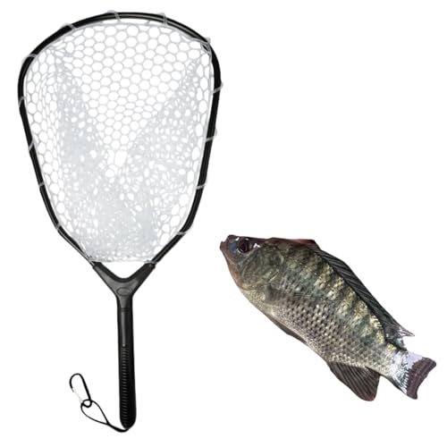 Minogo ^ Ƃ ʖ ̌^fUC   fBOlbg A~jEf y  RpNg gѕ֗ ϋv \ kނ A[ނp Lv AEghA Ǒ  Gr WKp (A)