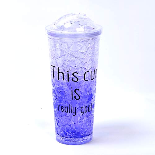 Double Wall Freezer Tumbler with Lid and Straw, Cooling Cup,Travel Mug, 19OZ. BPA