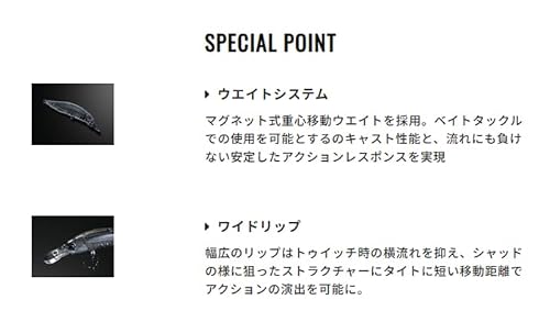 デュオ ルアー レアリス ロザンテ63SP ナチュラルワカサギ DRA3013 4枚目