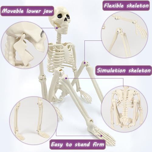 Squelette d'Halloween 40 cm pack double modele humain complet avec membres mobiles
