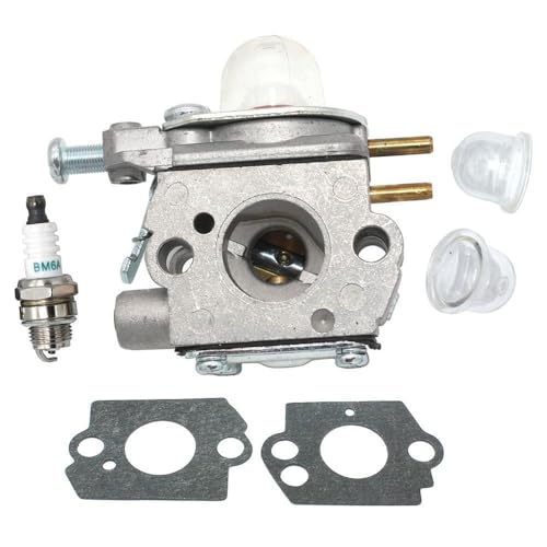 Tools parts Carburetor for MTD RM2510 RM2560 RM2570 RM2520 RM2700 M2500 RM2599 RM2750 H2500 BL110 BL160 H25B RM125 RM2510 RM2560 RM125 Accessories