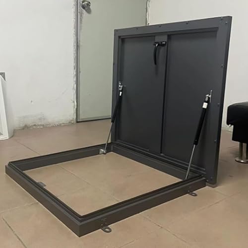 Puerta de seguridad para techo con pestillo y protección anticorrosión